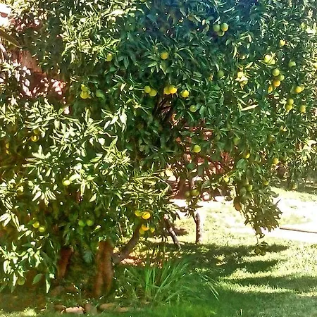 Donatila Country house *