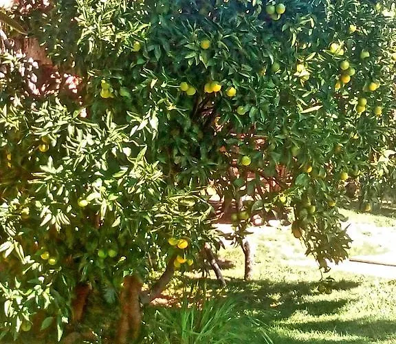 Donatila Casa rural *