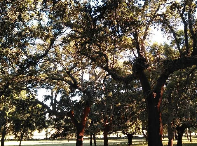 Donatila Casa rural *