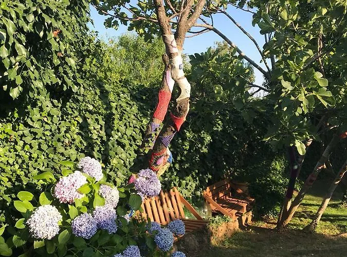 Casa rural Donatila Villasbuenas de Gata